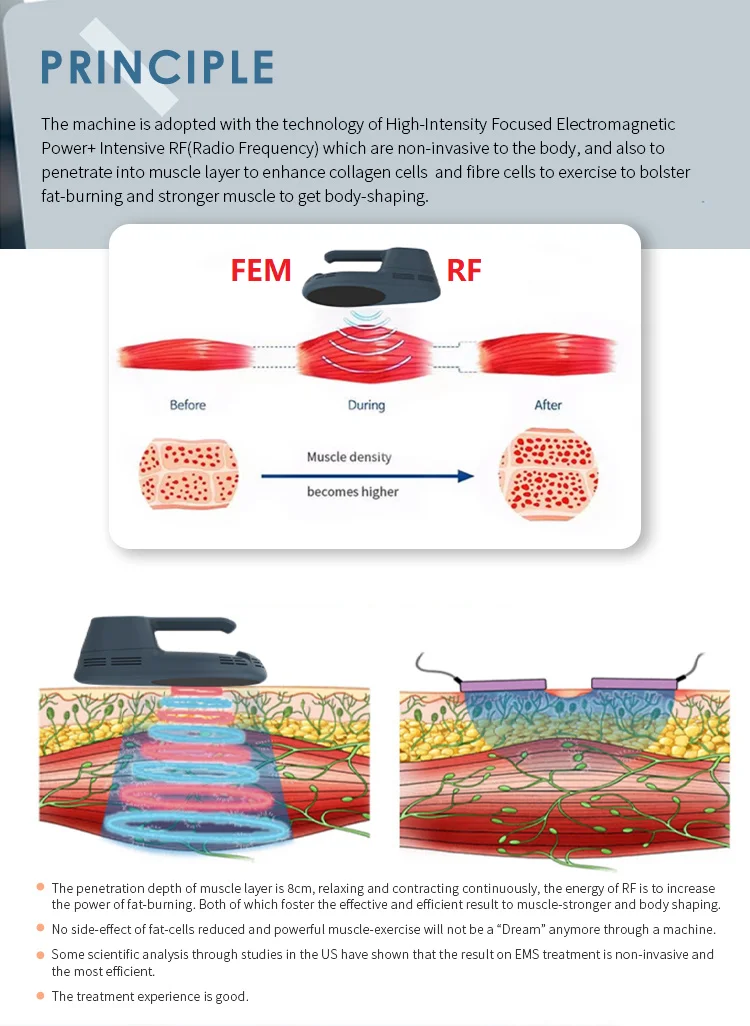 Vertical Ems Slim Machine with RF For Muscle Building Cellulite & Fat Reduction Treatment EM Slim Neo Sculpt Body Equipment 15T