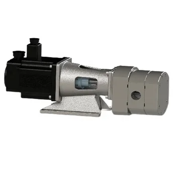 Small gear pump stainless steel power kf 12 hydraulic gear pump power micro magnetic gear pump MG209XK