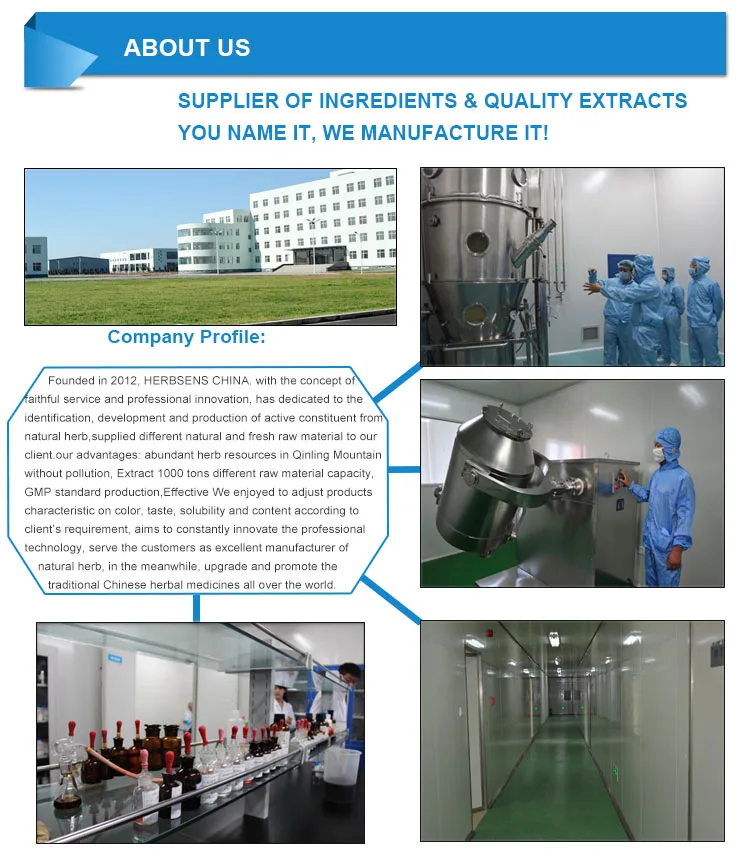 Food Grade Bulk Catnip Extract Powder 10:1 view 4