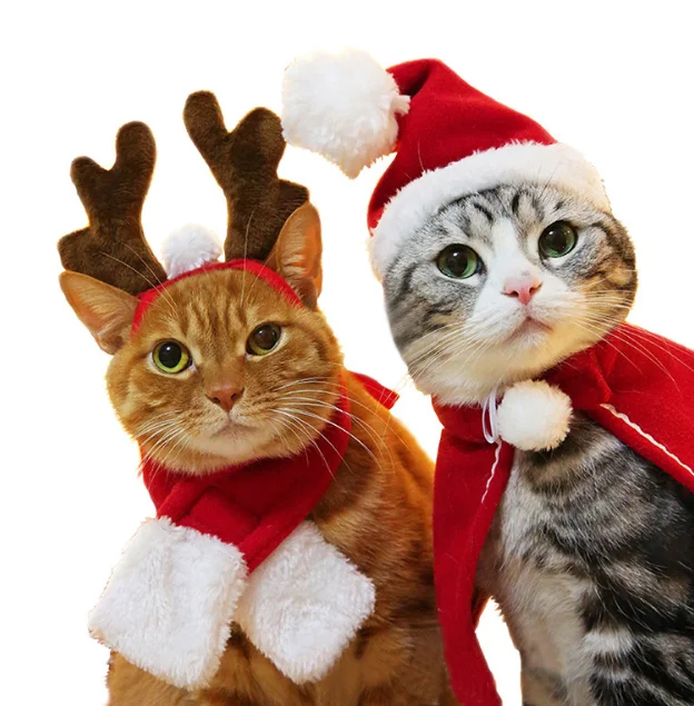 Bonnet Cosplay Motif Chat Deguisement De Chien Robe Fantaisie Decor Amusant Coiffe Pour Animal De Compagnie Buy Chapeau De Chien Pour Animaux De Compagnie Coiffe Vetements Pour Animaux De Compagnie Chat Product On Alibaba Com