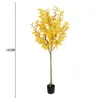 160cm autumn ginkgo tree