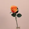 สีส้ม
