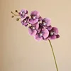 Violet foncé
