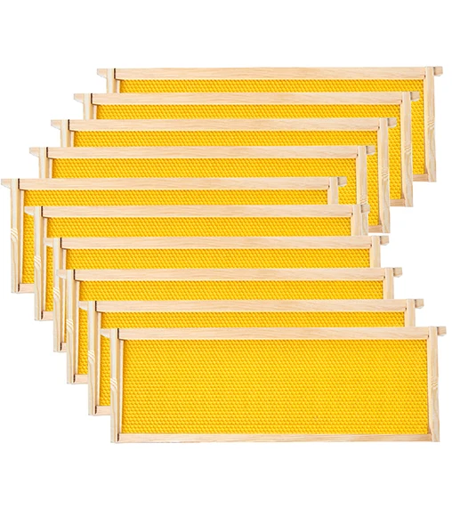 Transparent Bee Frame Beekeeping Transparent Bee Hive - Observation & Inspection