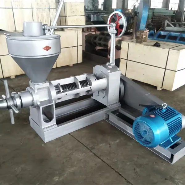 High Efficiency Sacha Inchi Oil Extracting Machine, Hemp Oil Machine Aceite Peanut Oil Press Machine Plant