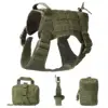 Amry Green