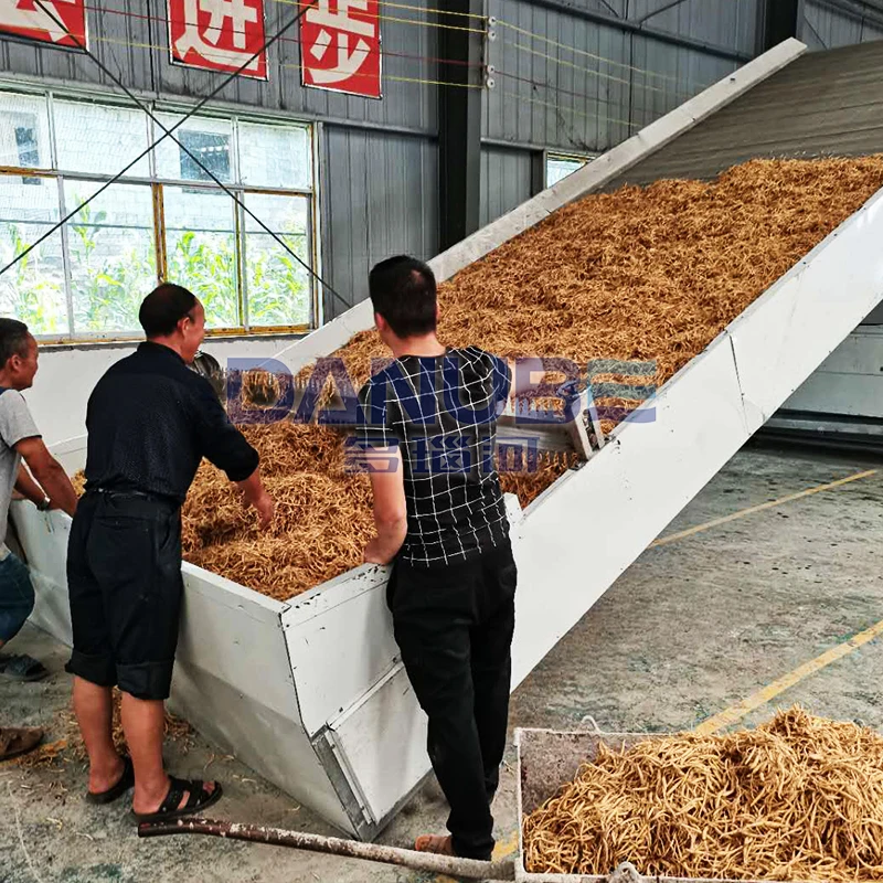 Large Scale Continuous Mesh Belt Dryer for Drying Grass Moringa Leaf Vanilla Machine for sale