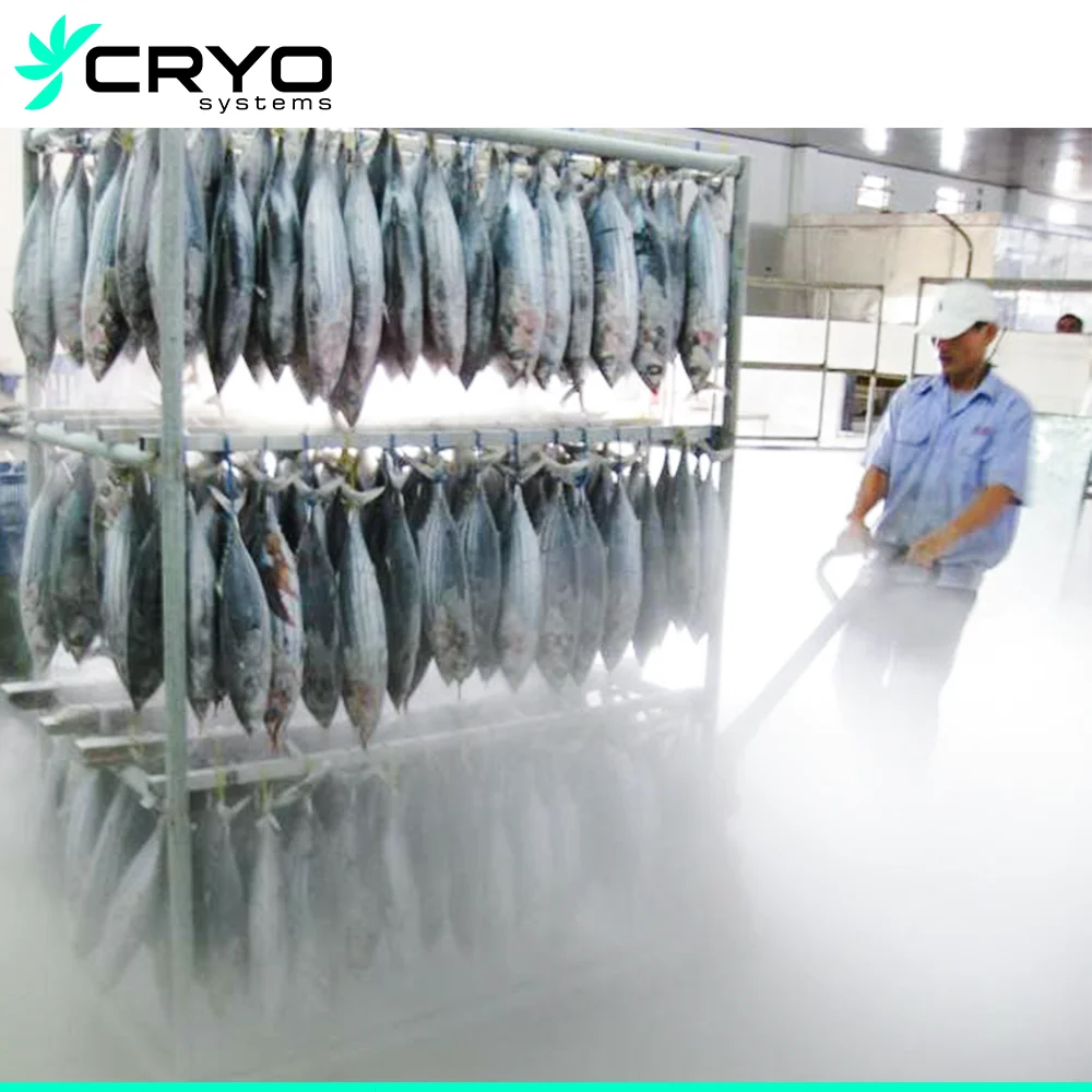 Cold Storage 50 Ton Chicken Blast Freezer Blast Chiller Blast Freezers Rooms