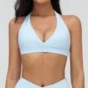 Blue Bra