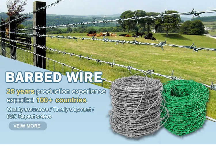 Hot Dipped Galvanized Dia Mm Roll Kg Barbed Wire M Anti Theft Barbed Wire Mesh Kg Barbed