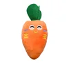 Carrot