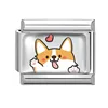 สัตว์เลี้ยง-16