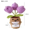 ทิวลิป1
