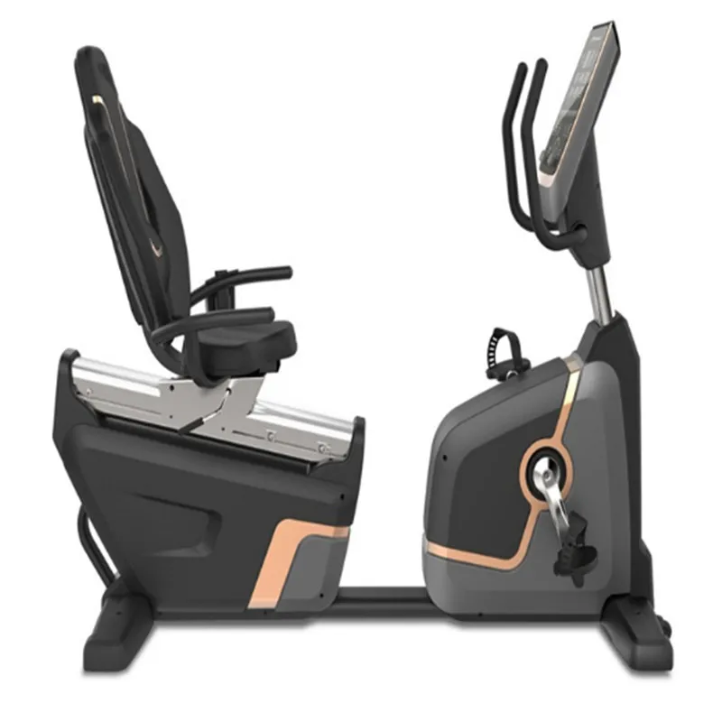 Self Power Recumbent Bike Seats Gym 