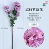 High-branched crape myrtle flowers JC light purple