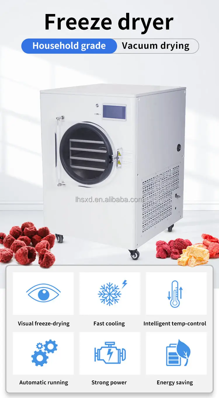 Efficient Freeze Dryer - Vacuum Drying Machine for Food