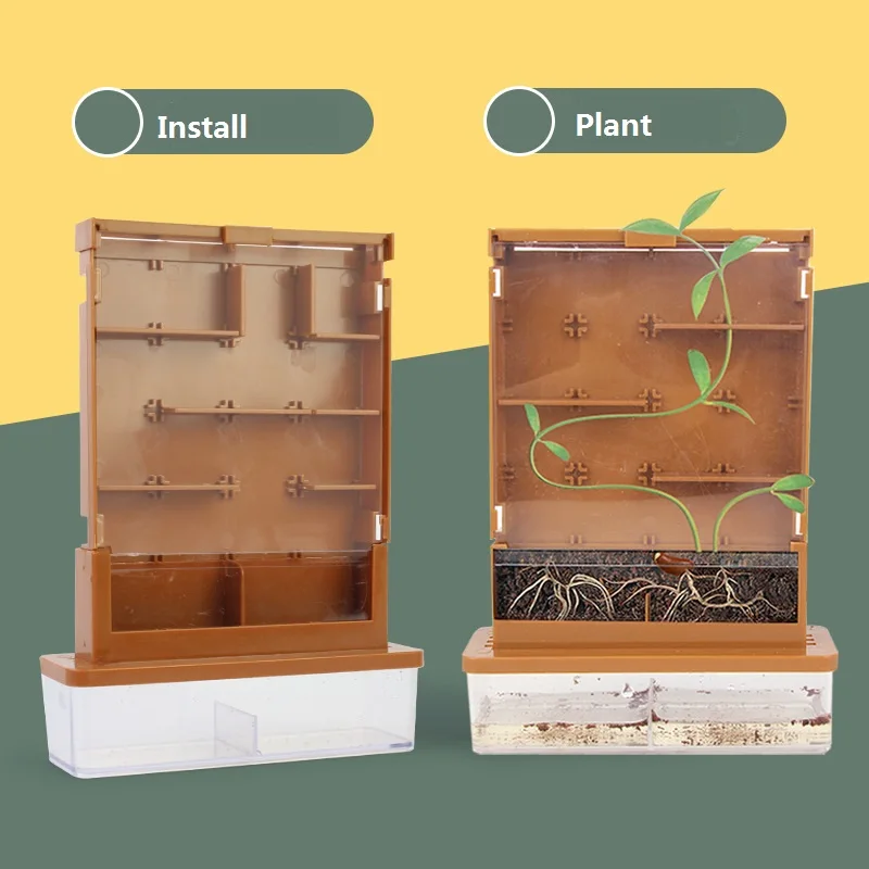 New 2023 Toys Botany Plant Growing Maze Kit Fun Home Lab Sprout Phototropism Project Educational