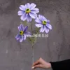 Gesang flower