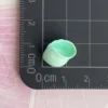 2concha mini de boca grande verde