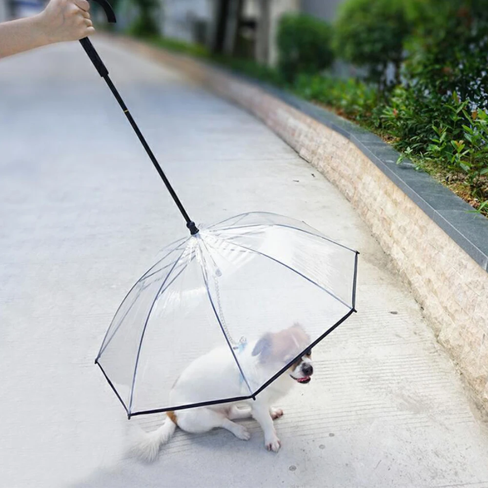 Собака зонт