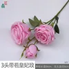 3-headed, budding Royal Rose WY (pink)