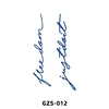 GZS-012