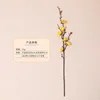 กิ่งยาว - สีเหลือง