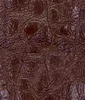 8102#