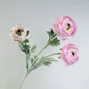 peonía rosa