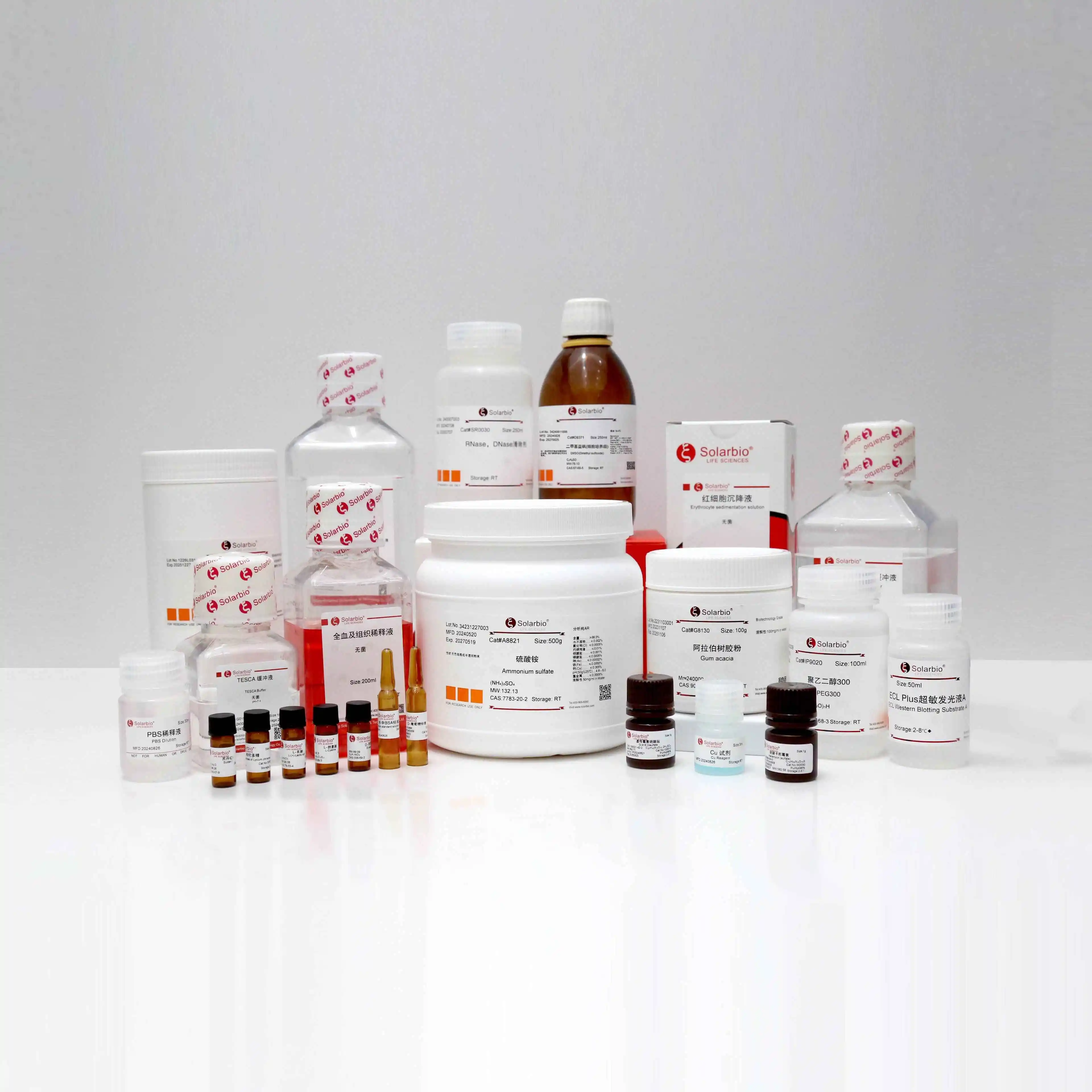 Solarbio Mouse Leptin R ELISA Kit for Scientific Research