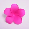 Rose Pink