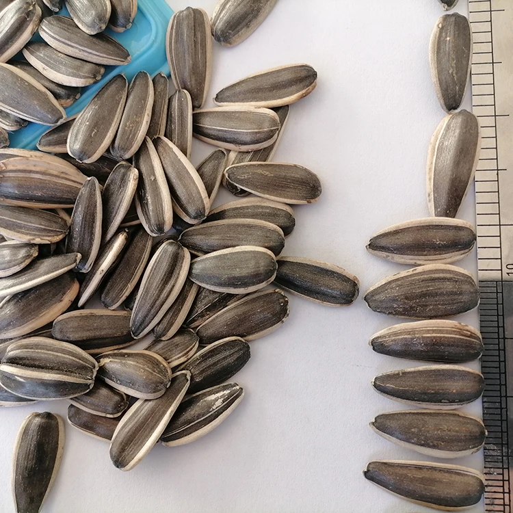 あらゆる種類の黒作物21天然黒ゴマ種子風味の丸いヒマワリの種 Buy 風味ラウンドヒマワリの種 作物21自然な黒ゴマ すべての種類の黒 ヒマワリの種 Product On Alibaba Com