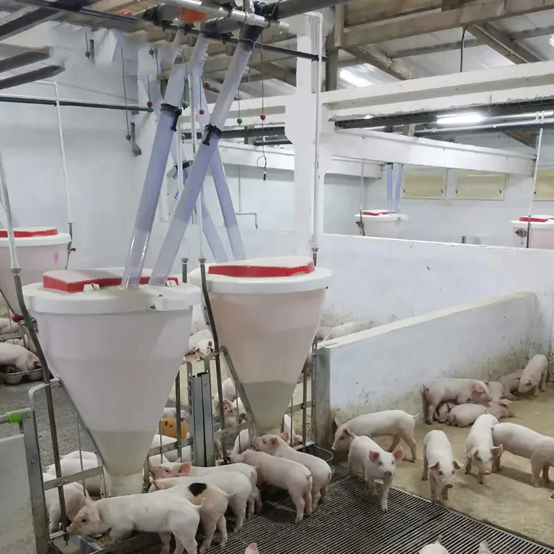 Dry/wet Auto-pig Farm Feeding System Intelligence Animal Feeder - Buy ...