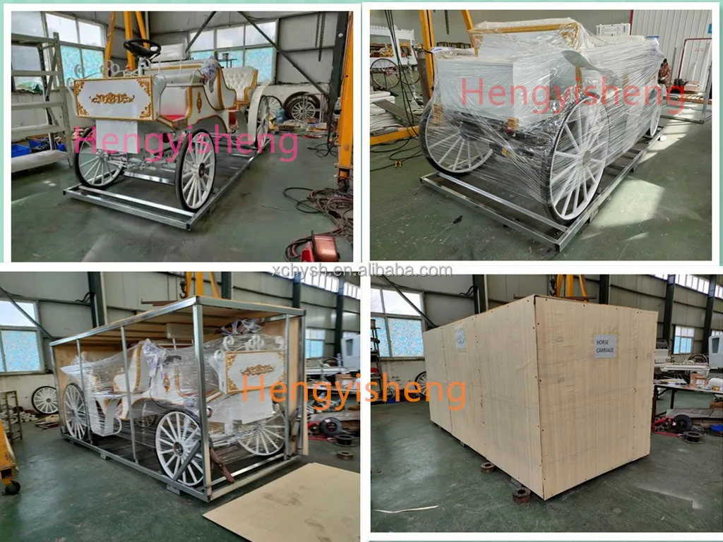 6seater Electric Special Transport Vehicle/noble Electric Tourist