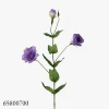Purple700