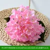 Hydrangea with leaf deep powder