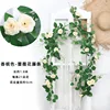 Rose vines - champagne color