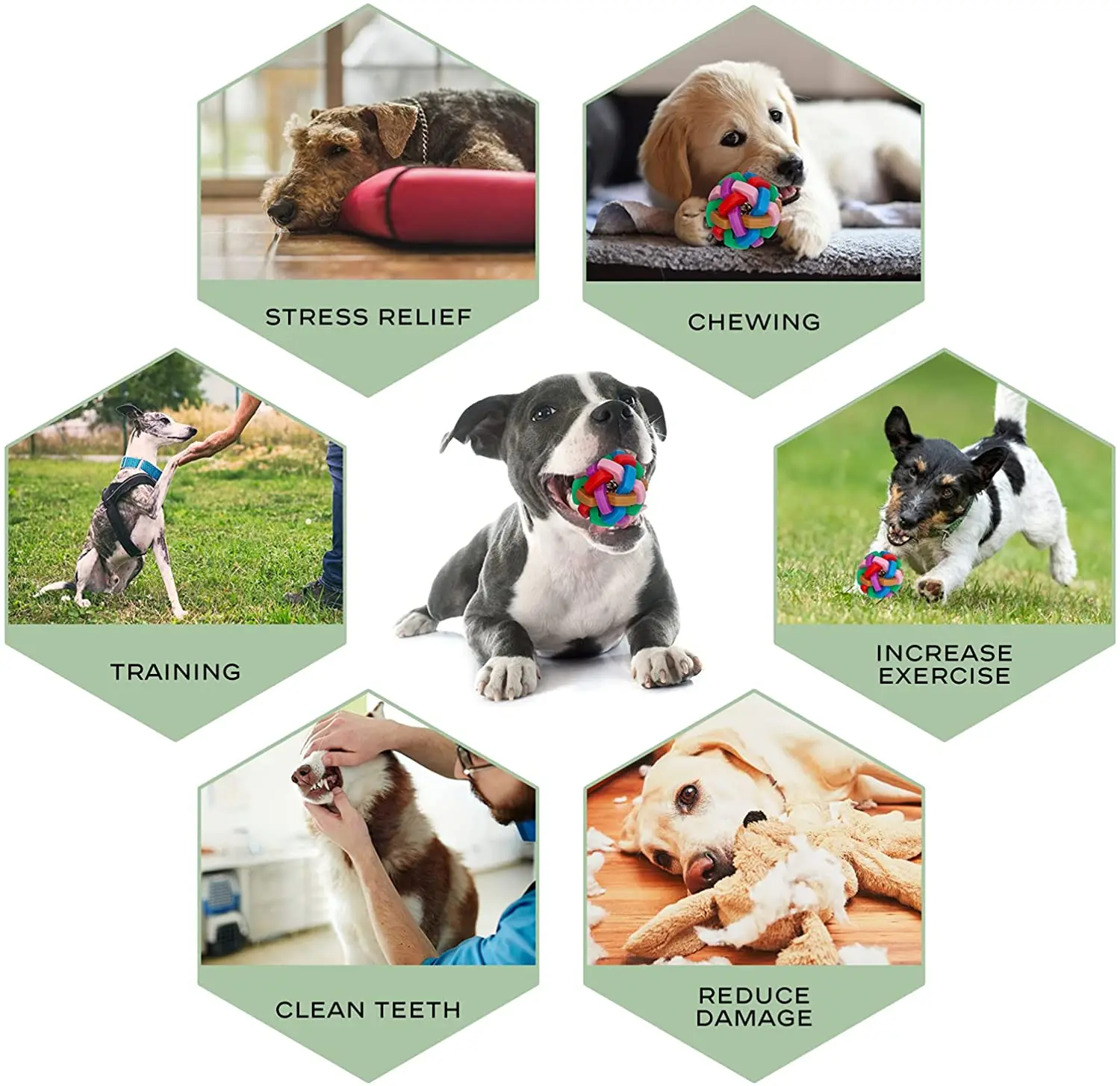 Image showcasing Safety And Health Pet Interactive Throwing Squeaky Chew Toy Balls For ...