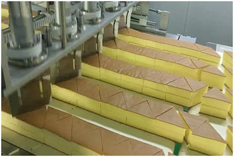 Europe Technology Semi and Full Automatic Layer Cake Machine
