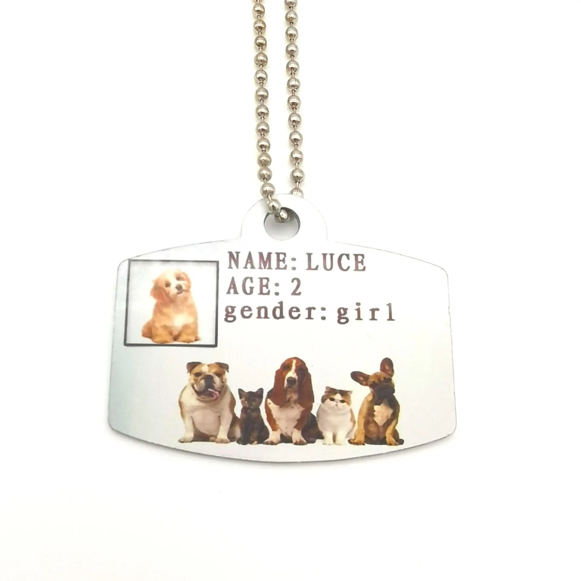 15 Sublimation Stamping Blank Dog Tag Necklace with Chain Necklace Aluminum Hip Hop Military Style Pet Dog Name Number Tag ID Metal Personalized Pendant Necklaces for Men Women 
