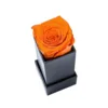 Naranja-1 Rsoe
