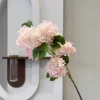 Hydrangée florale