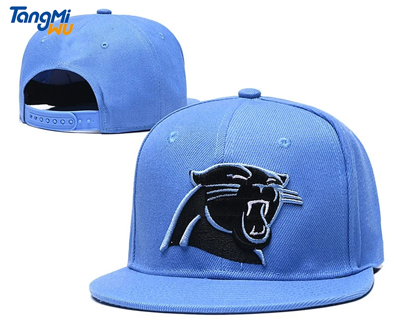 custom carolina panthers hats