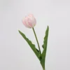 Tulipe Rococo (rose)