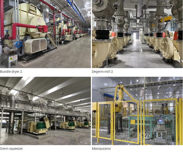 Maize Corn Starch Production Line