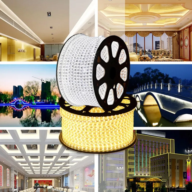 AC220V Waterproof RGB Dual Color LED Strip Light IP65 Remote Control Flex LED Strips for Landscape Use