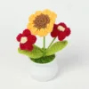 Small Sunflower + Red Double Puff - Potted Plant