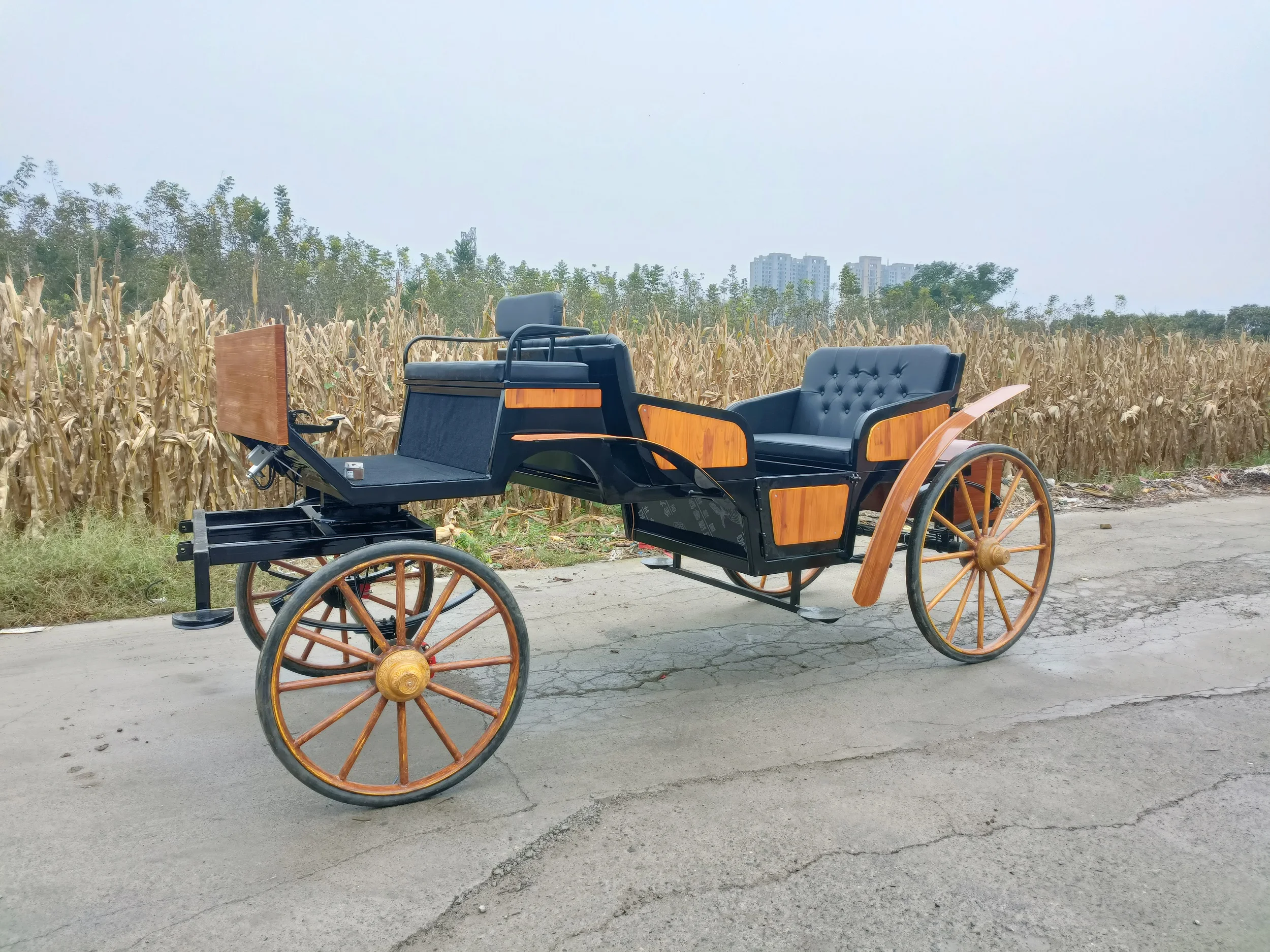 中世の馬が描いたワゴン/古代博物館のジプシー馬車/リムジン