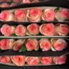 Aisha rose 1 corbata 20 ramas