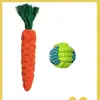 Set de 2 Bolas de Cuerda de Zanahoria [Limpieza y Protección Dental]